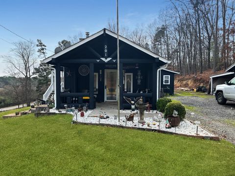 201 Squirrel Avenue Cohutta GA 30710