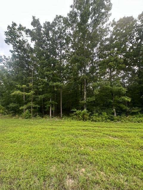 Vacant Land For Sale - 198 Kyuga Drive<br/> Marion County, South Pittsburg, TN 37380