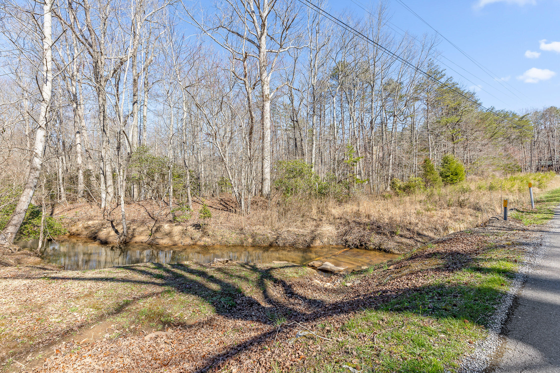 611-5 Cove Road, Mentone, Alabama image 39