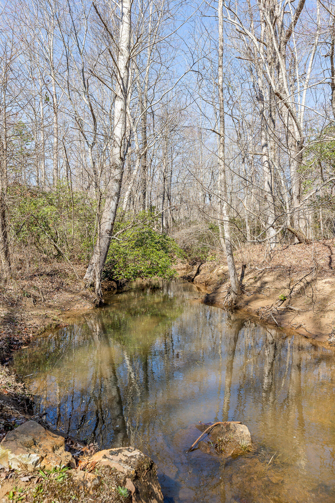 611-5 Cove Road, Mentone, Alabama image 40