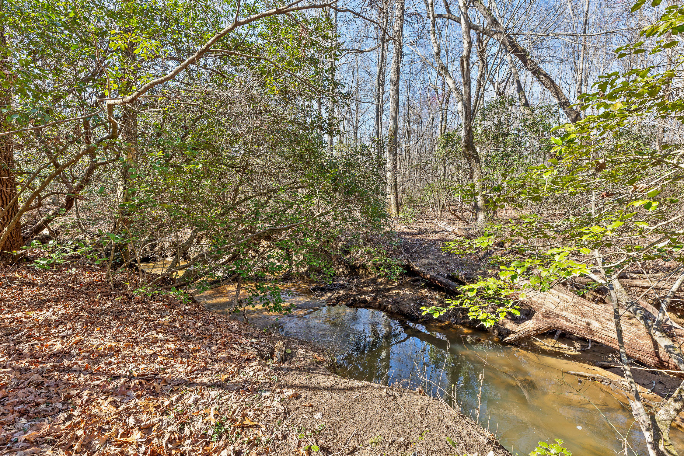 611-5 Cove Road, Mentone, Alabama image 4