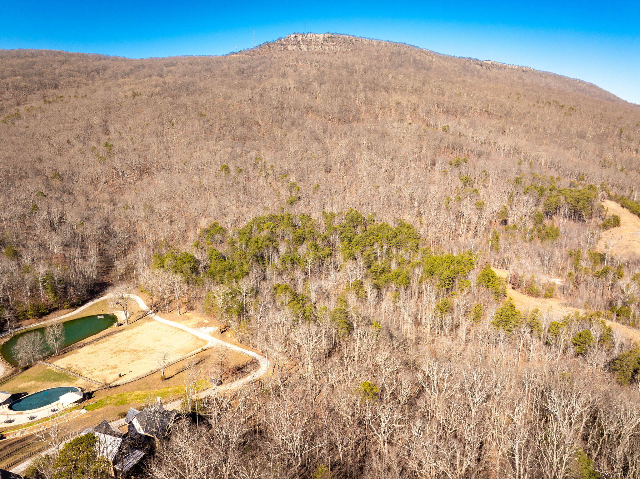 Valley Rim Drive, Chickamauga, Georgia image 7