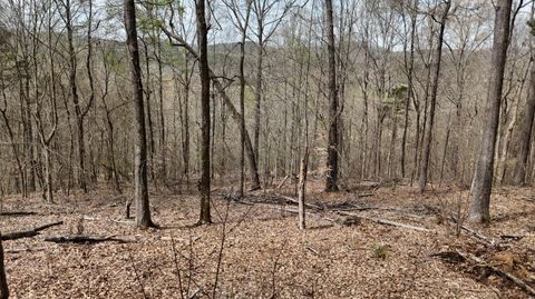 Photo of 000 Geren Subdivision Lane, Decatur, TN 37322 (MLS # 1531670)