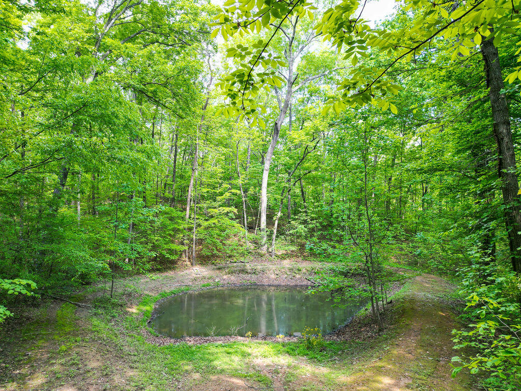 678 New Summit Hill Road, Ringgold, Georgia image 43