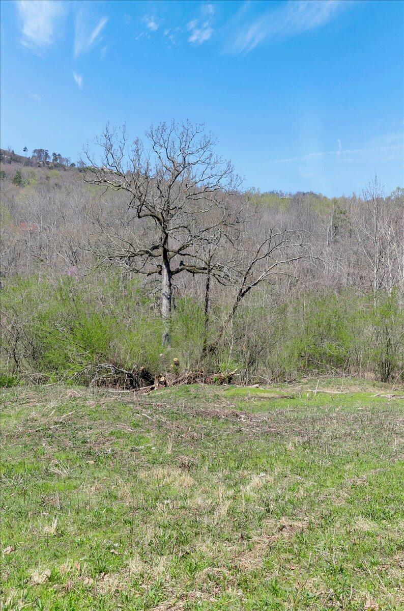 1009 Reads Lake Road #LOT 6, Chattanooga, Tennessee image 11