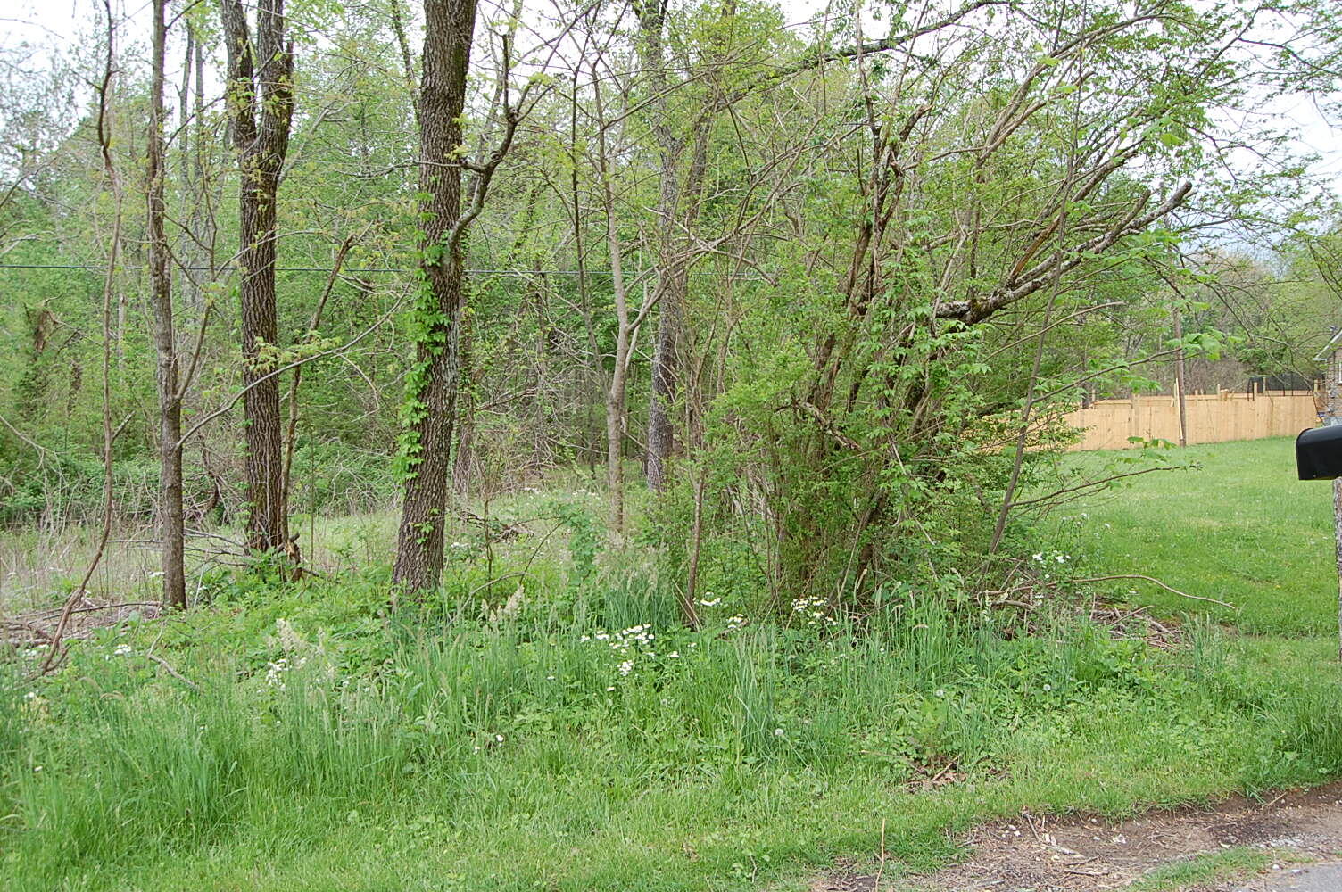 67 51st Avenue, Gruetli Laager, Tennessee image 2