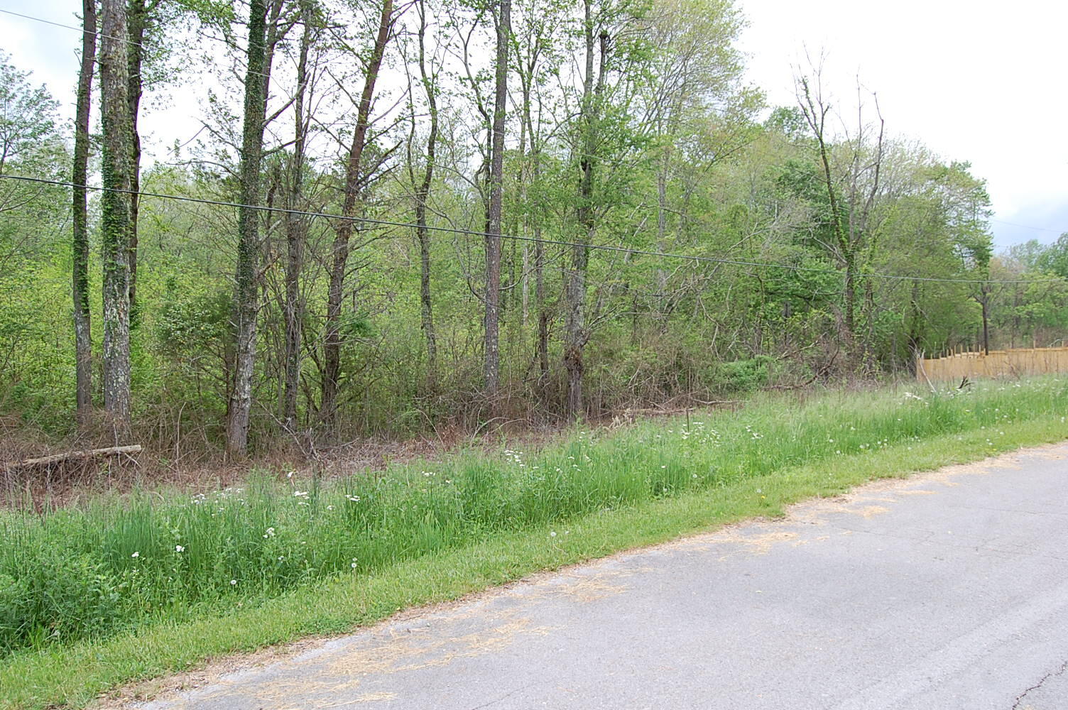 67 51st Avenue, Gruetli Laager, Tennessee image 6