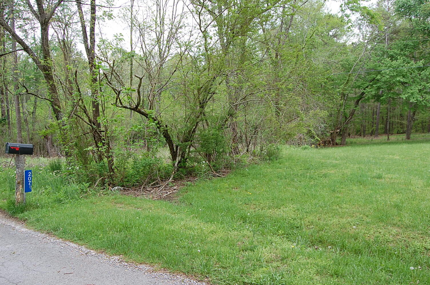 67 51st Avenue, Gruetli Laager, Tennessee image 7
