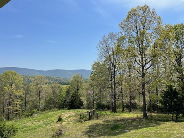 335 Fox Wood Lane, Dunlap, Tennessee image 31