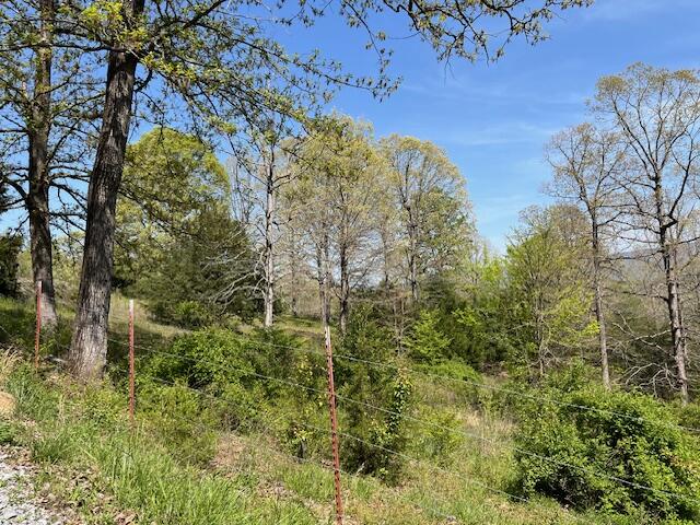 335 Fox Wood Lane, Dunlap, Tennessee image 46