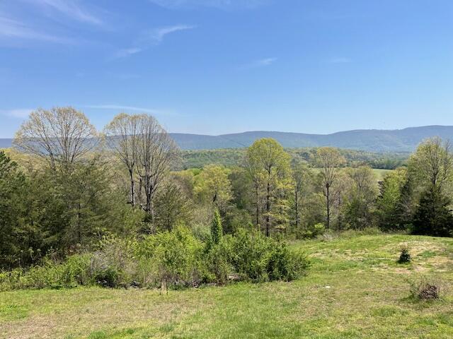 335 Fox Wood Lane, Dunlap, Tennessee image 32