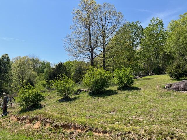 335 Fox Wood Lane, Dunlap, Tennessee image 41