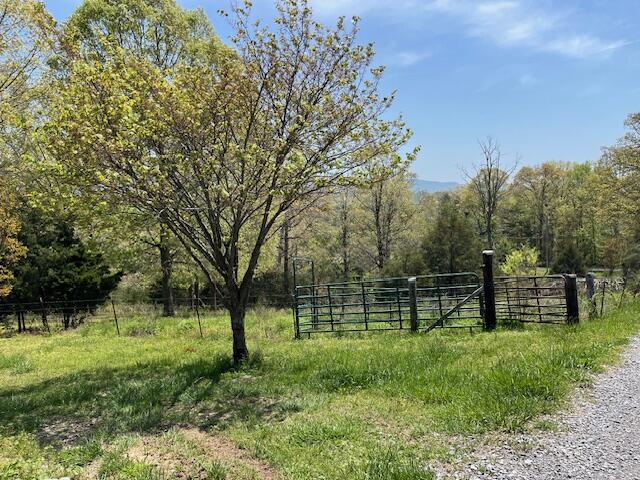 335 Fox Wood Lane, Dunlap, Tennessee image 38