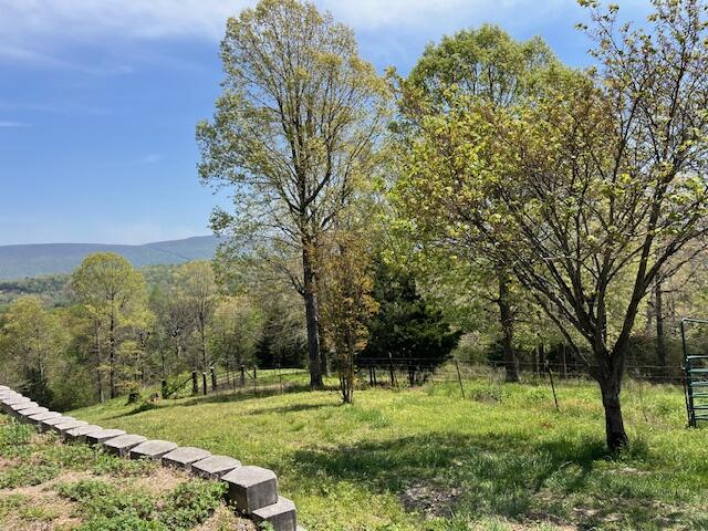 335 Fox Wood Lane, Dunlap, Tennessee image 39