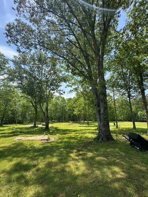 11901 Highway 150, Sequatchie, Tennessee image 4