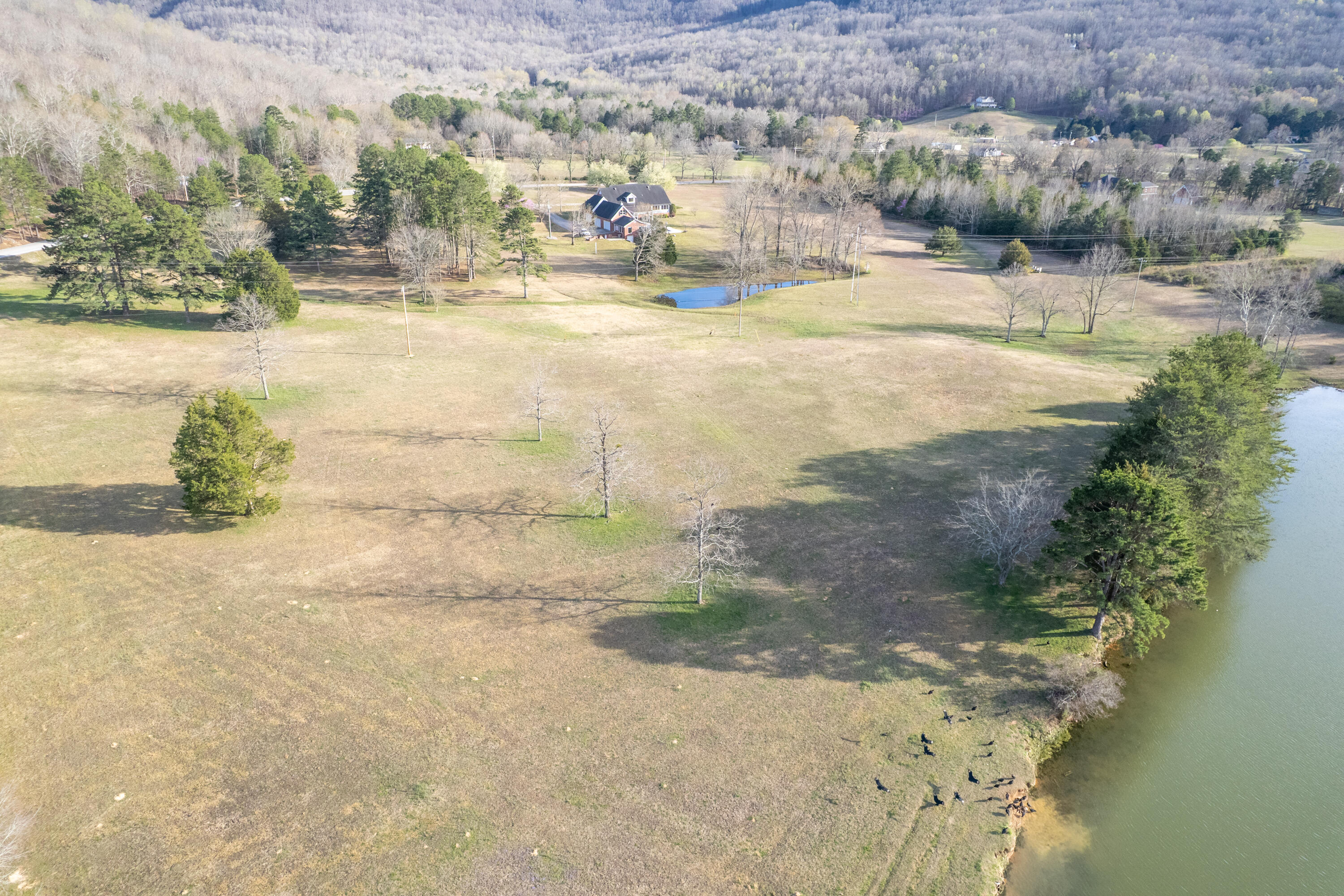 8121 Highway 156, South Pittsburg, Tennessee image 23
