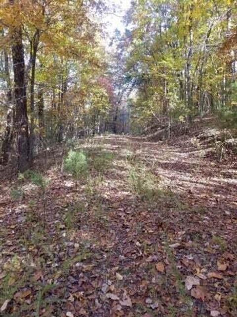 Photo of 00 Tammy Trail, Spring City, TN 37381 (MLS # 1526613)