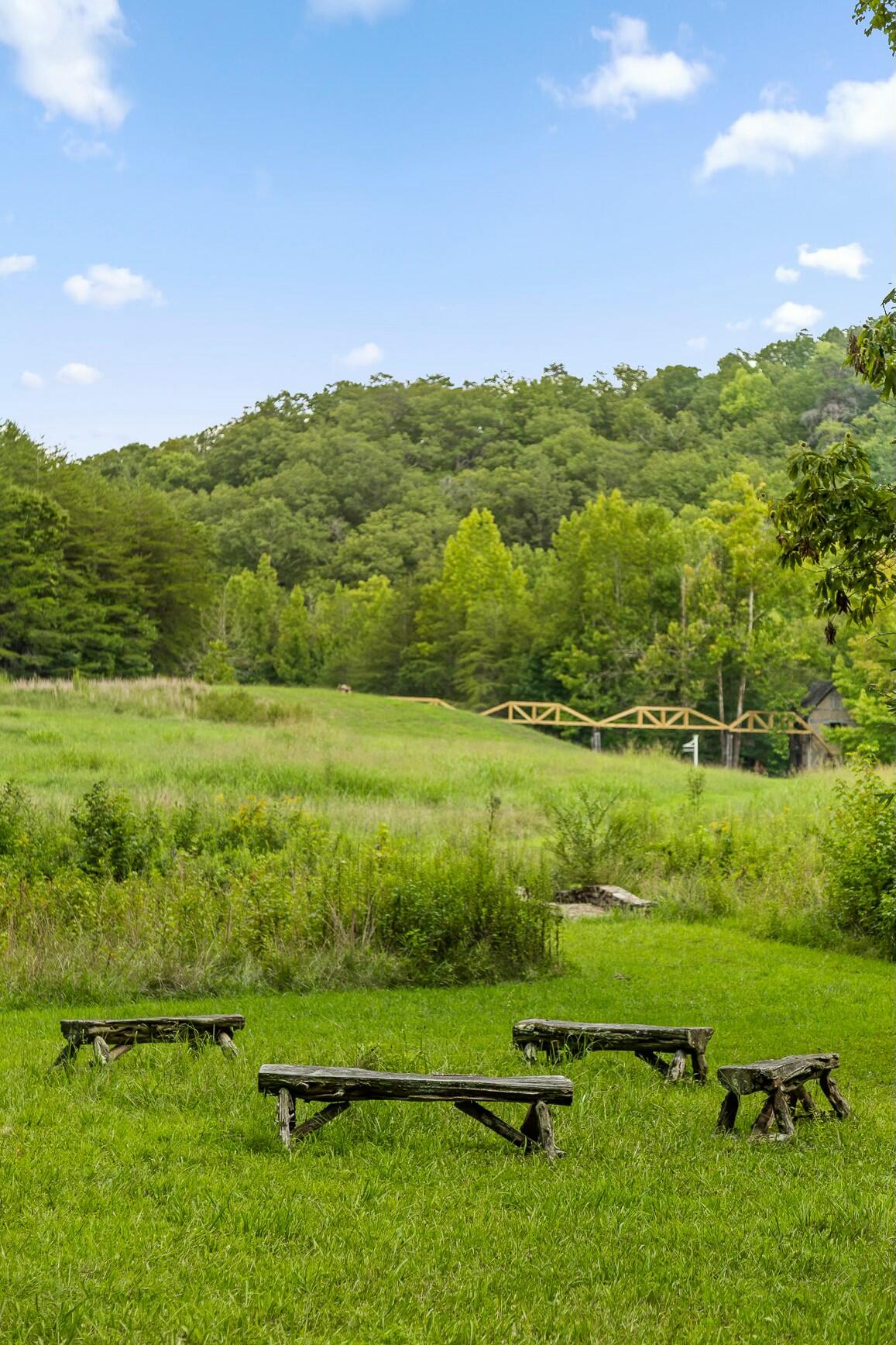 Cloudland #39, Chickamauga, Georgia image 42