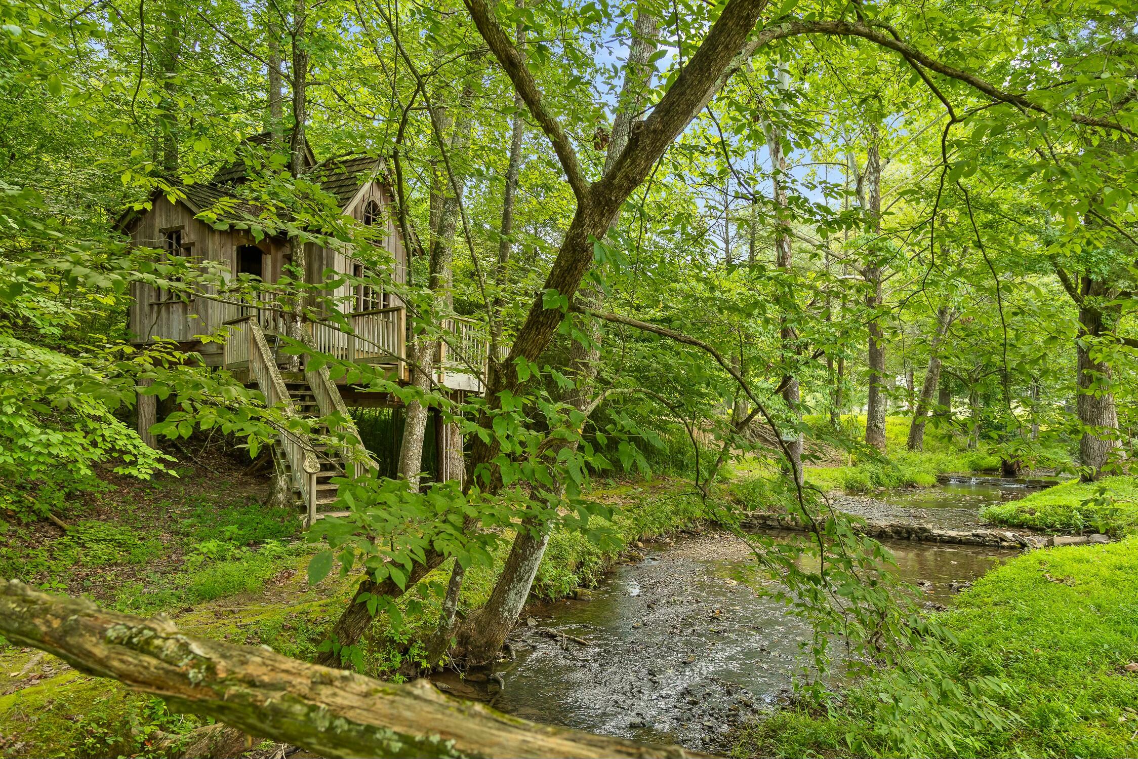 Cloudland #39, Chickamauga, Georgia image 16