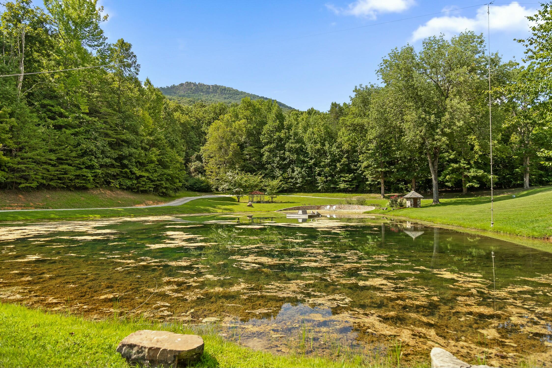 Cloudland #39, Chickamauga, Georgia image 49