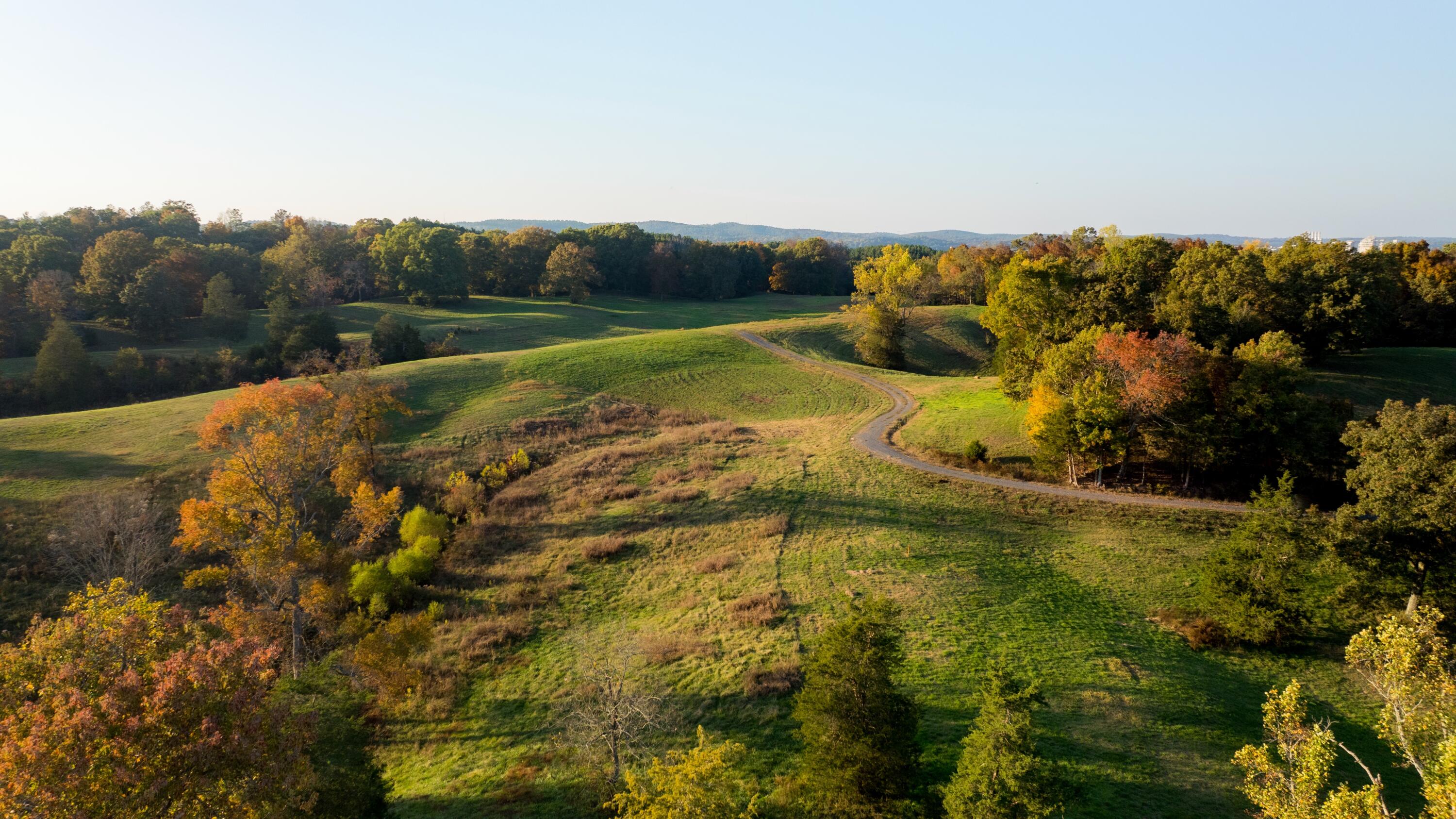 938 Lauderdale Memorial Highway, Cleveland, Tennessee image 10