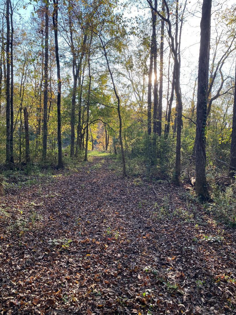 210 County Road 460, Englewood, Tennessee image 24