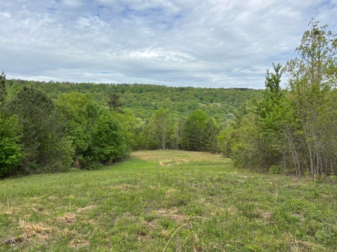 Photo of 367 Leggett Road, Sale Creek, TN 37373 (MLS # 1541836)