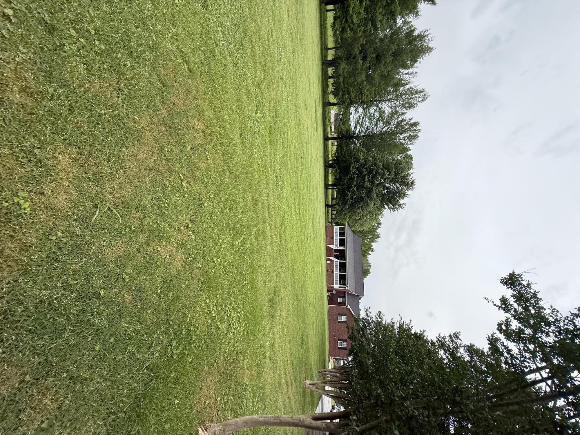 590 County #261, Stevenson, Alabama image 44