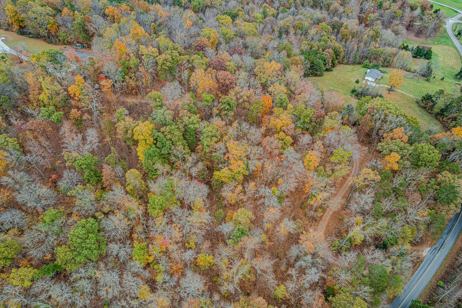 780 County Road 116, Athens, Tennessee image 19
