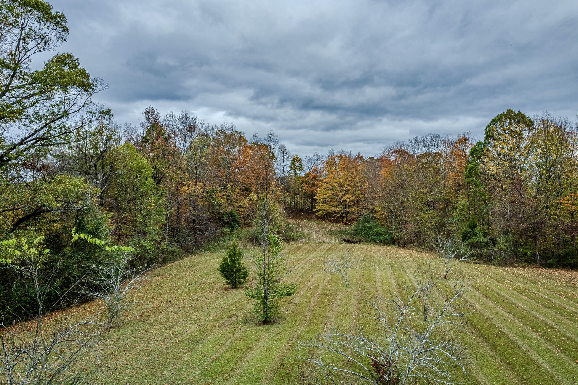 780 County Road 116, Athens, Tennessee image 15