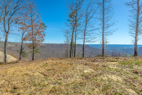 Tiny photo for 0 Sunset Circle, Jasper, TN 37347 (MLS # 1530531)