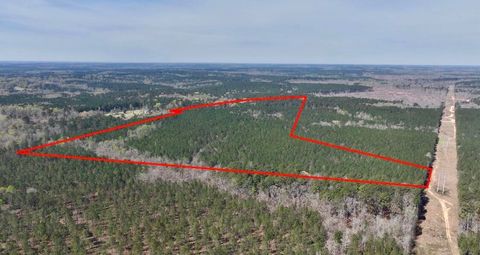 Vacant Land For Sale - St Marys Road<br/> Crawfordville, GA 30631