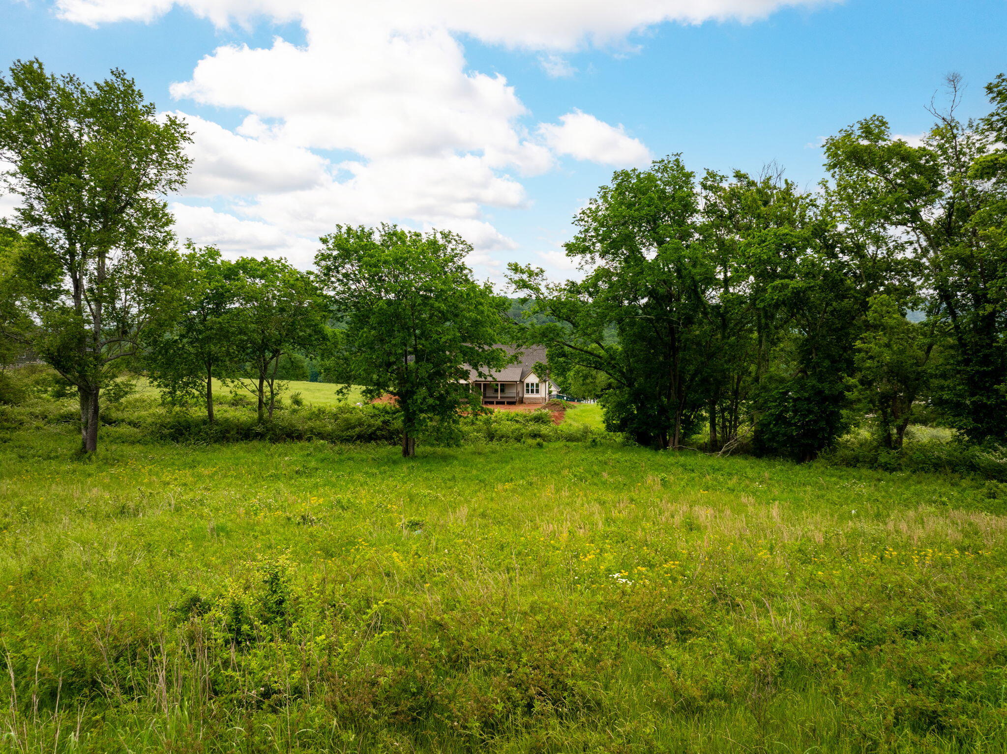 Starboard Drive, Jasper, Tennessee image 19