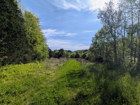 Photo of 5694 Ladd Springs Road, Old Fort, TN 37362 (MLS # 1523349)