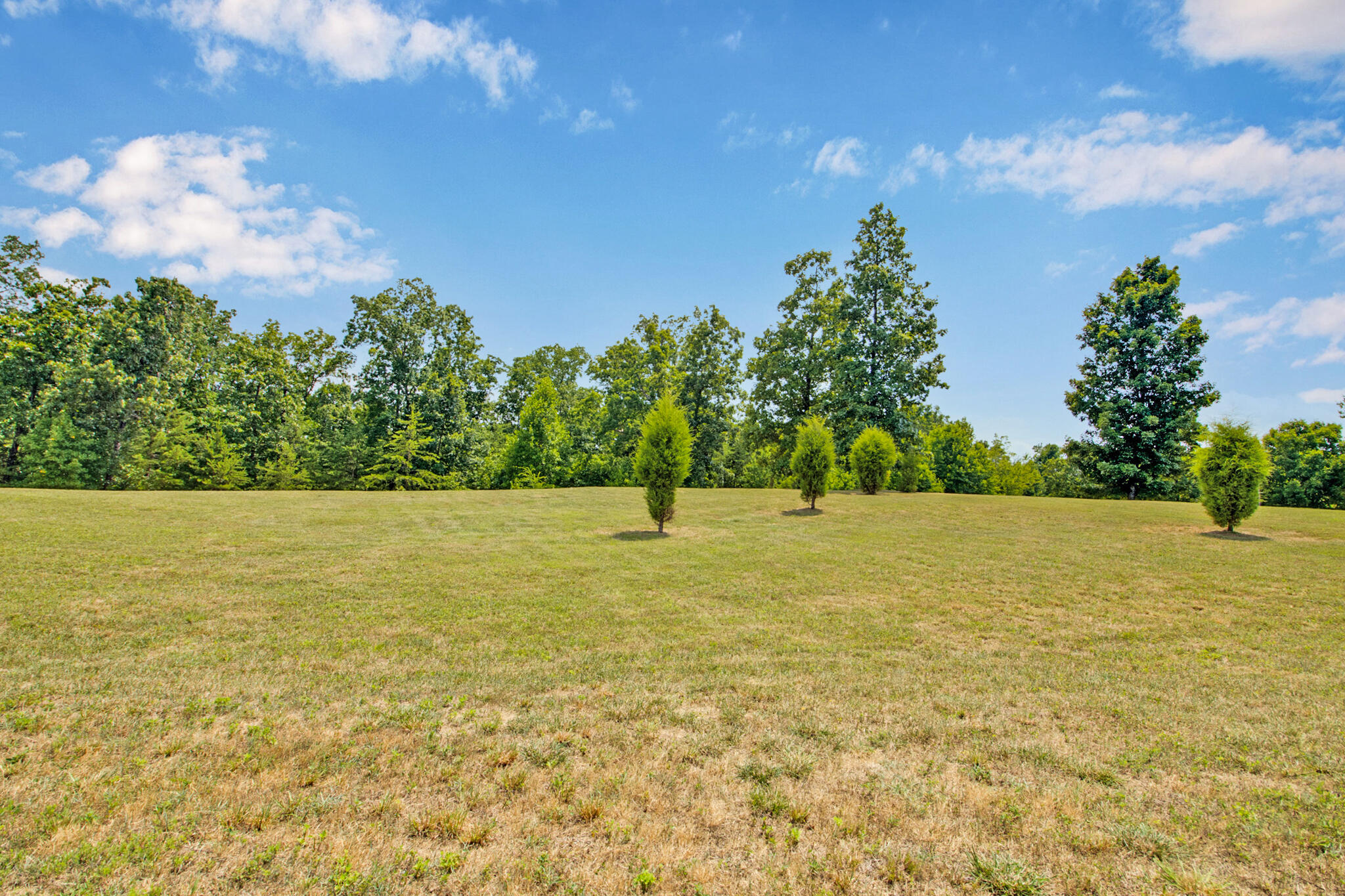 336 Hidden Forest Trail, Spring City, Tennessee image 6