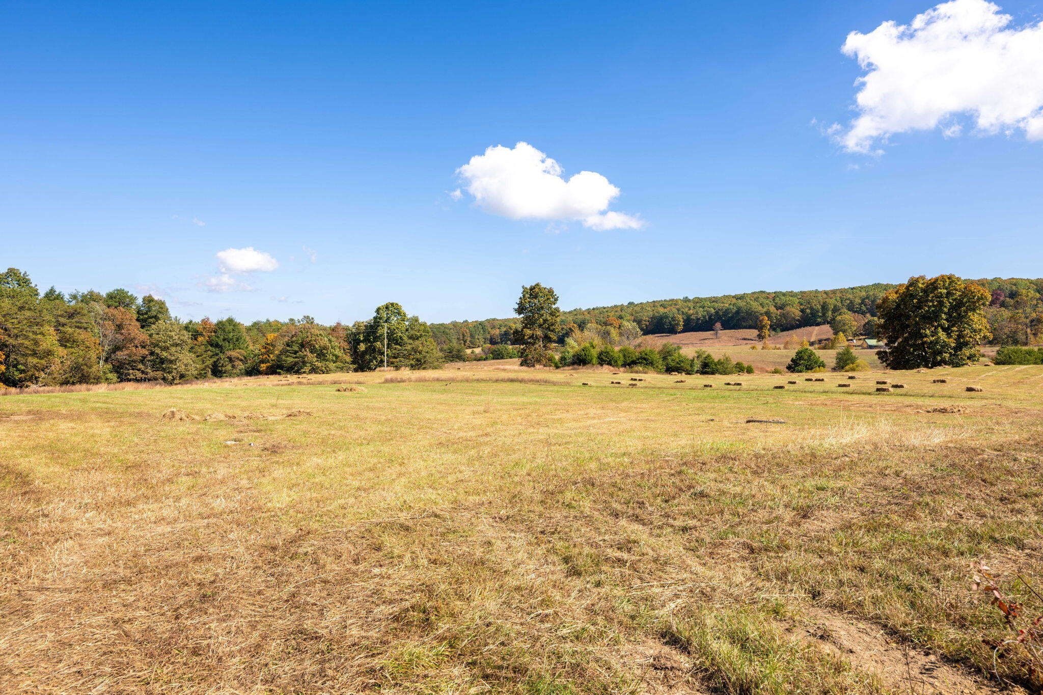 Old Dirt Road #LOT 28, Graysville, Tennessee image 7