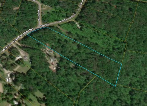 Vacant Land For Sale - 312 Abigail Trail<br/> Morgan County, Deer Lodge, TN 37726