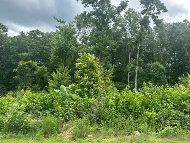 129 County Road #155, Riceville, Tennessee image 1
