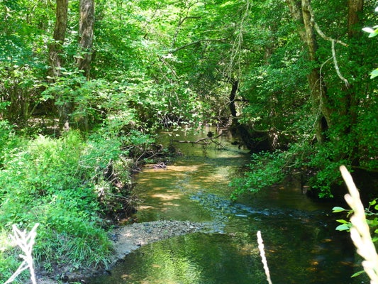 RED LN, WHITWELL, TN 37397 - Image 3f88afa6380eaaf7f1f2cf0e529548dd/1923290876