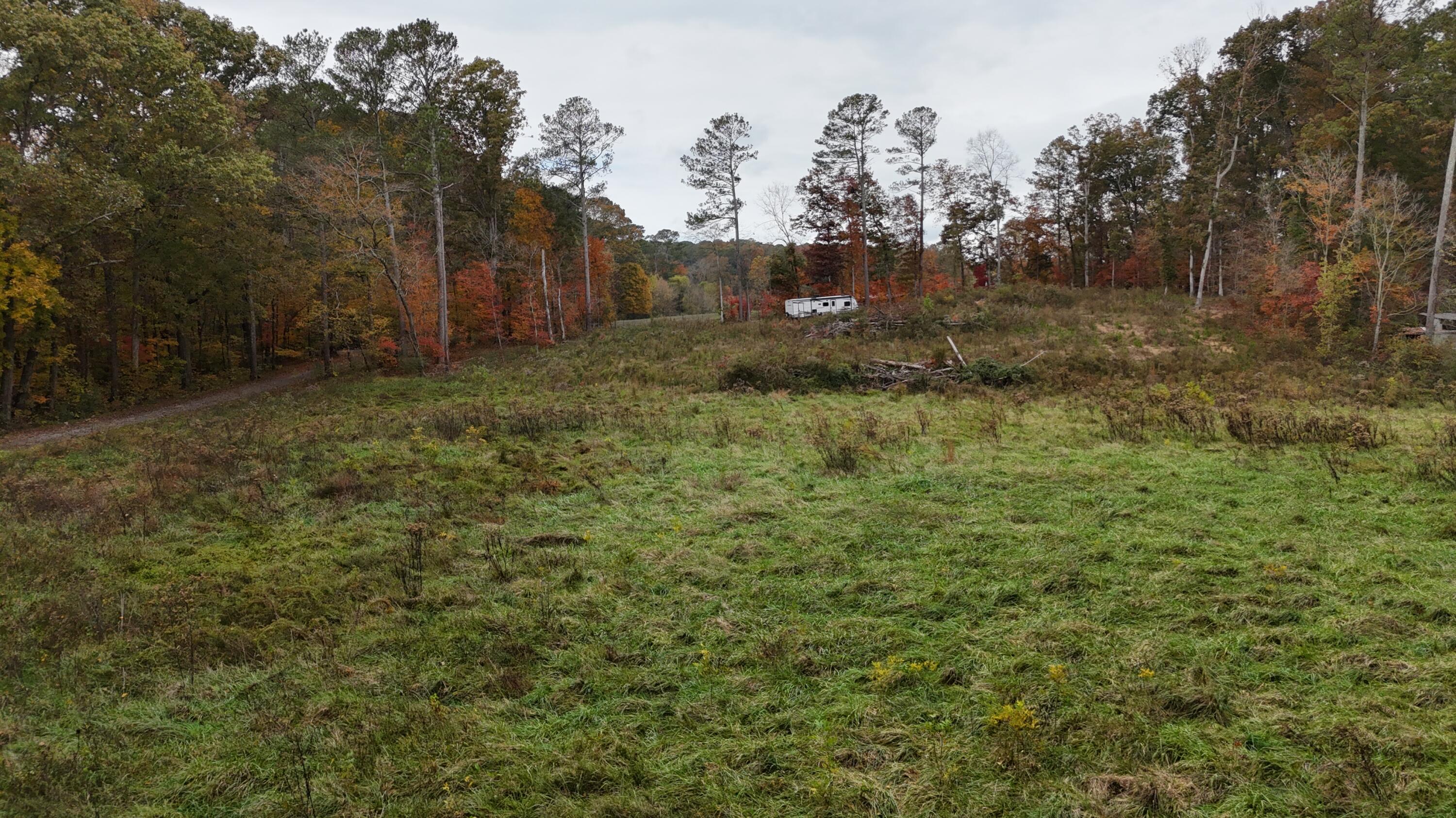 Bates Pike, Old Fort, Tennessee image 16