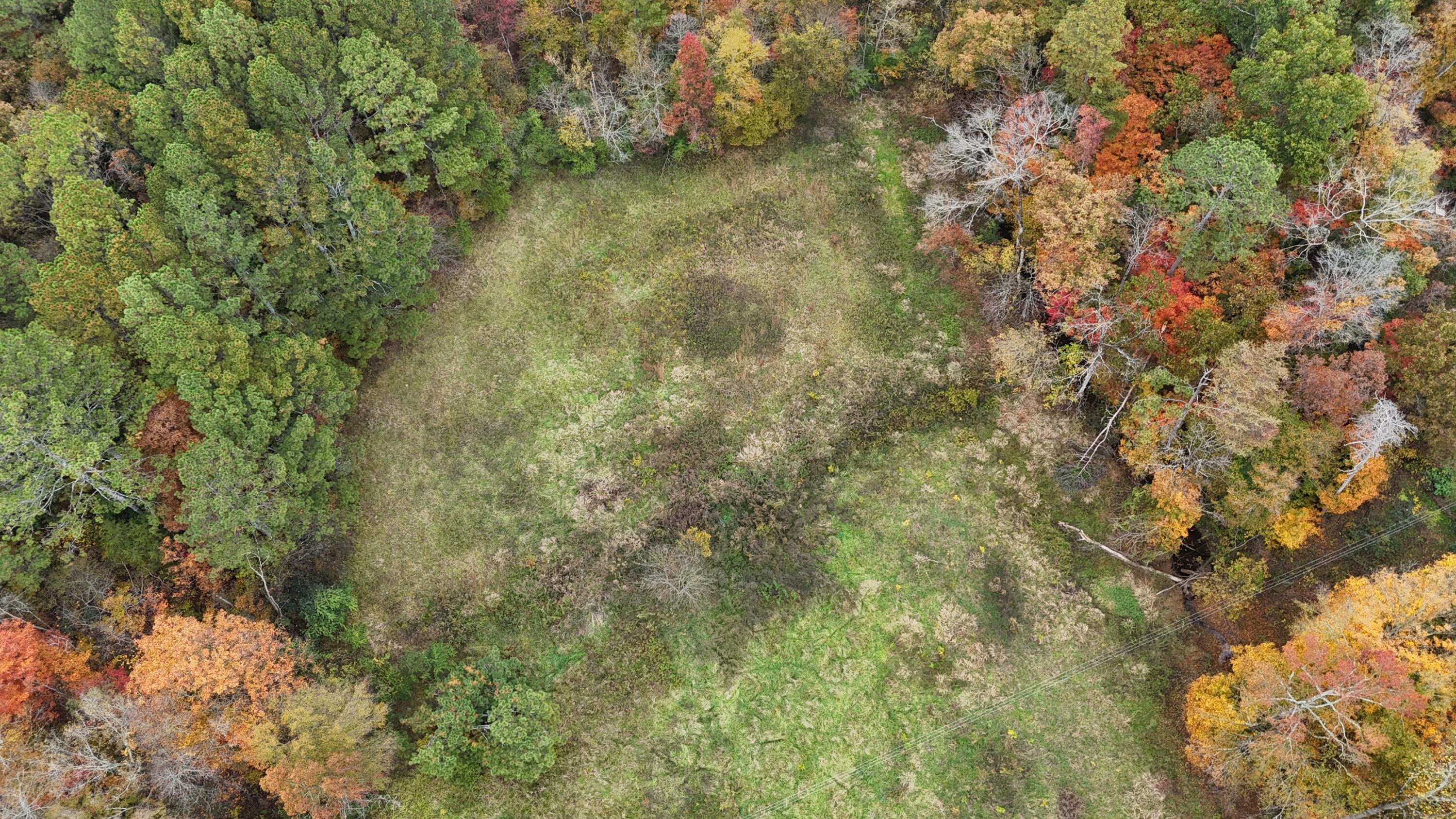 Bates Pike, Old Fort, Tennessee image 11