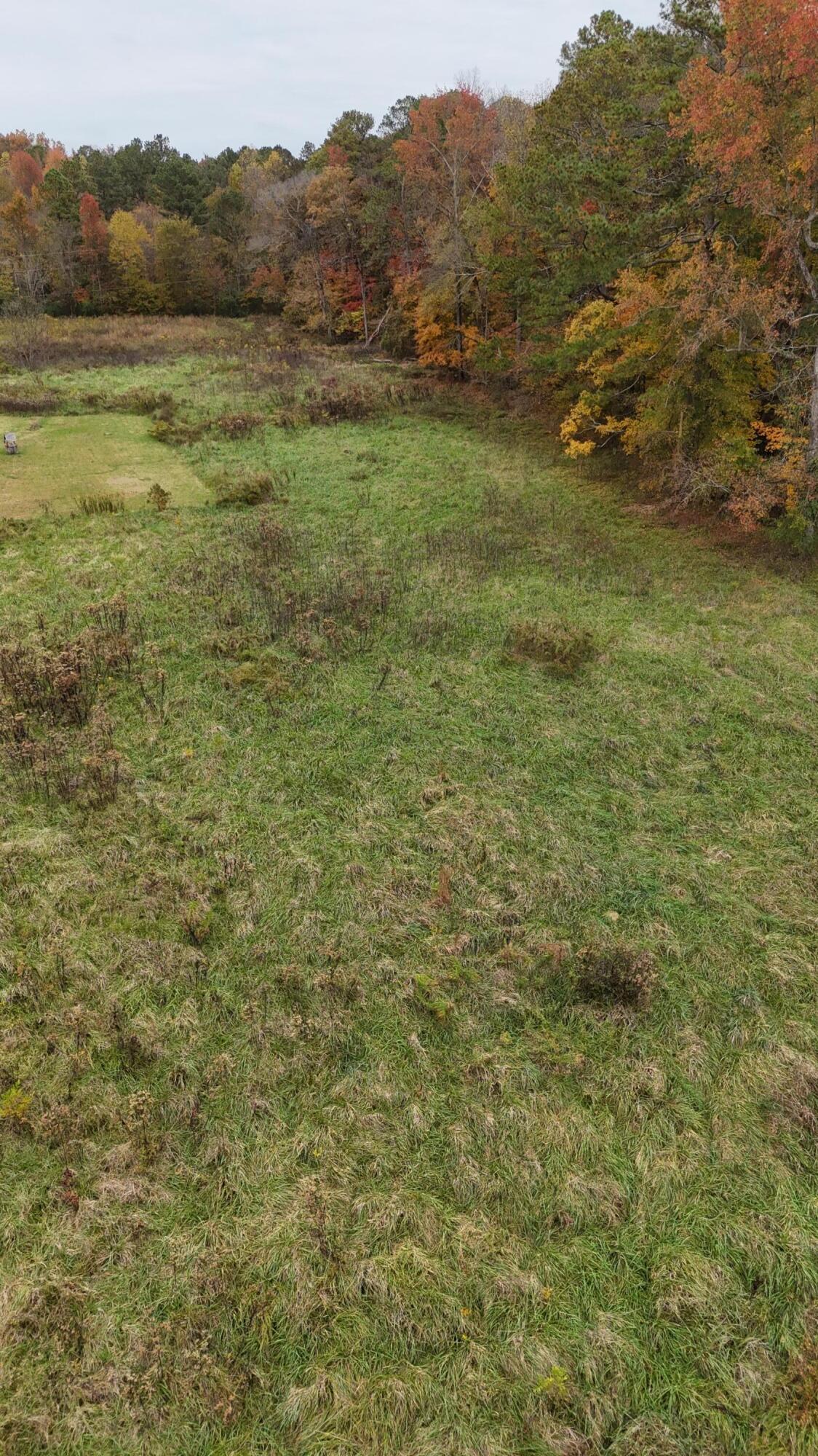 Bates Pike, Old Fort, Tennessee image 22