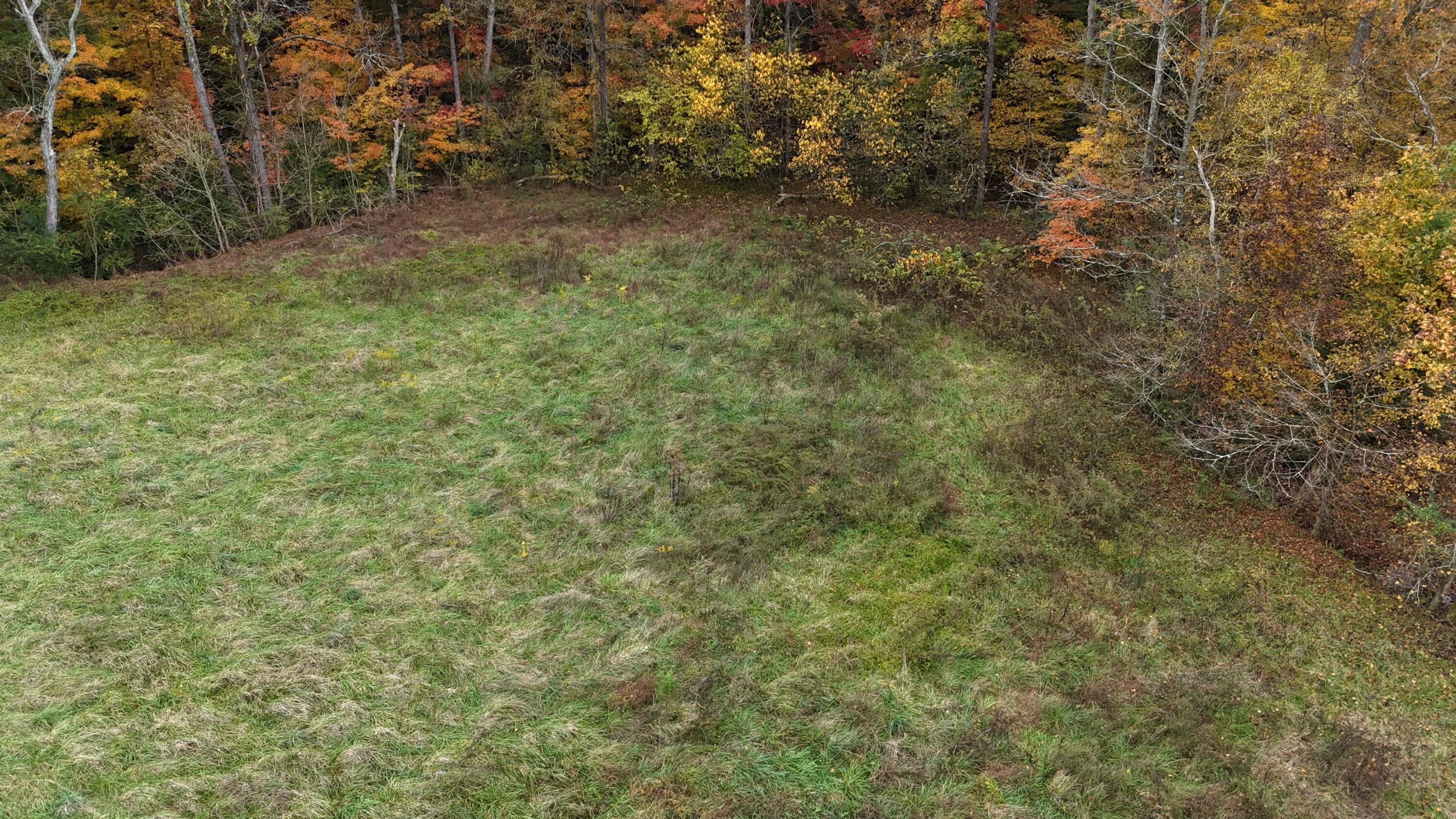Bates Pike, Old Fort, Tennessee image 19