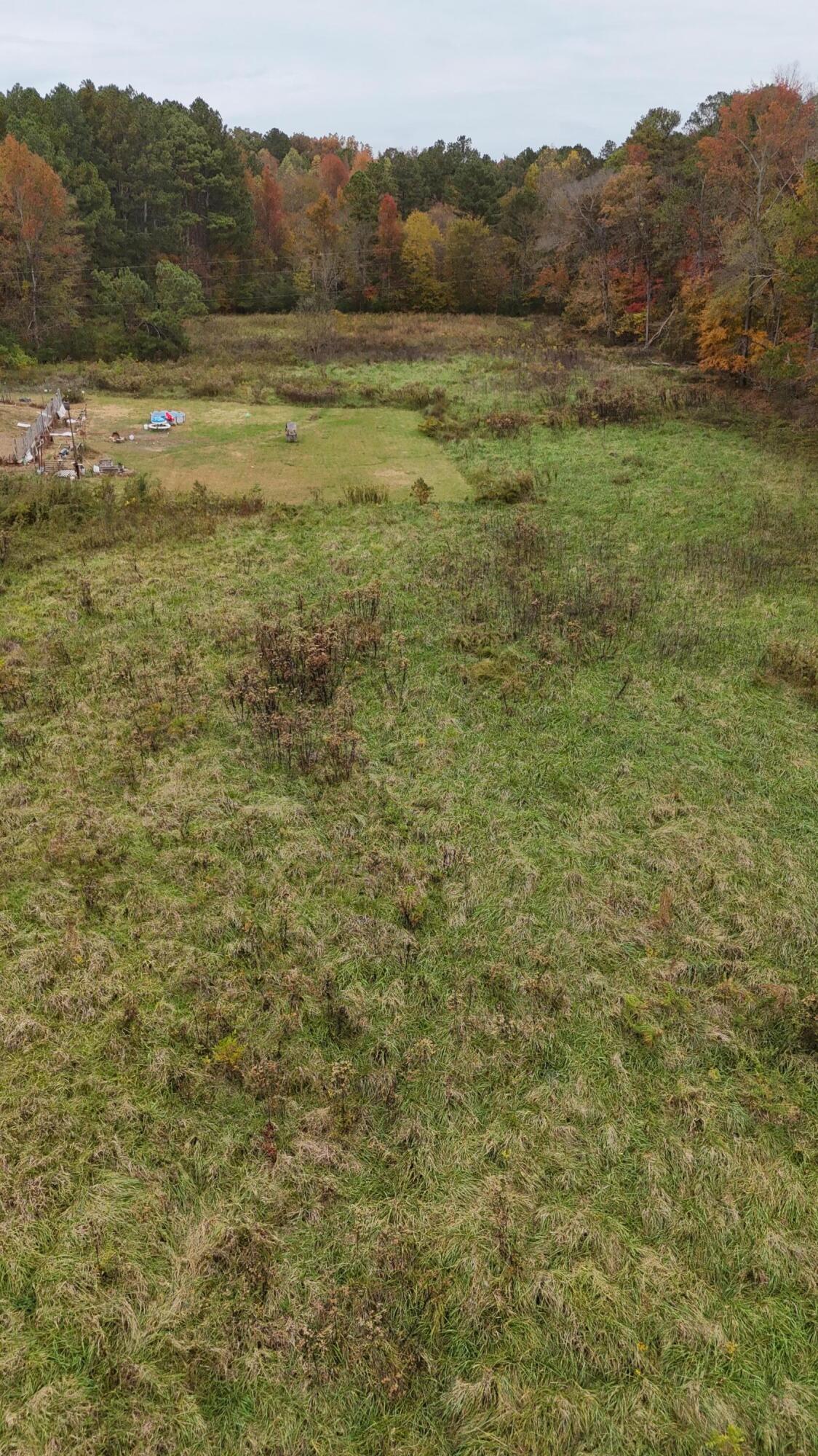Bates Pike, Old Fort, Tennessee image 21