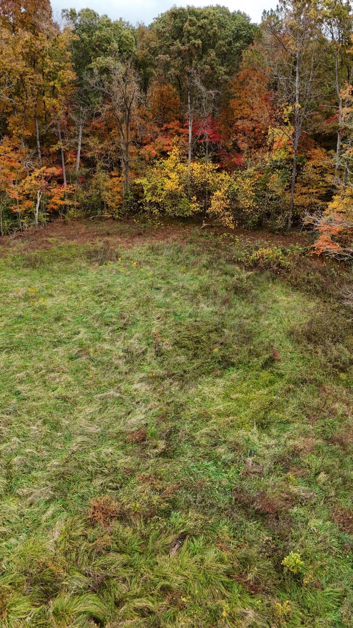 Bates Pike, Old Fort, Tennessee image 20