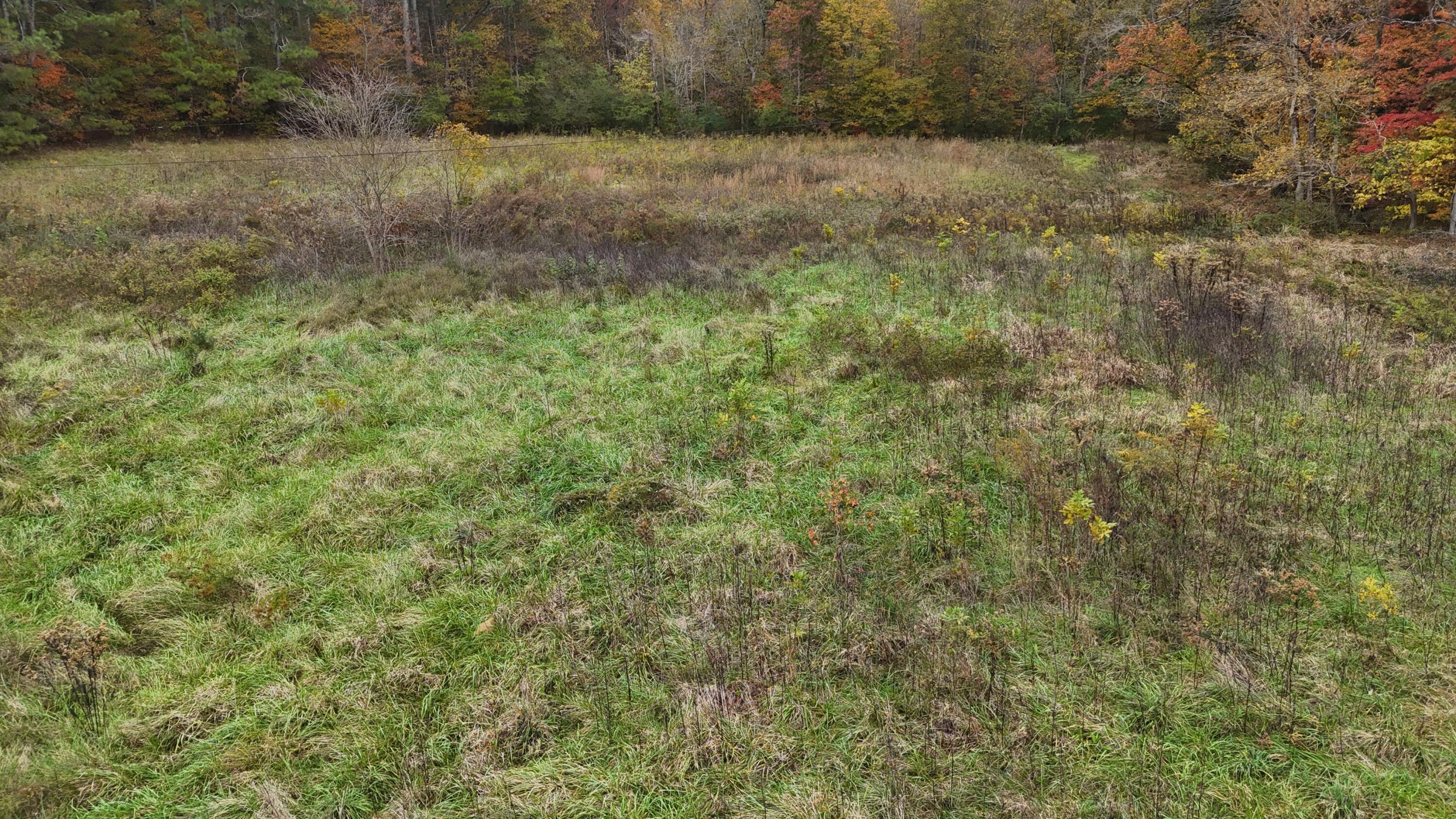 Bates Pike, Old Fort, Tennessee image 14