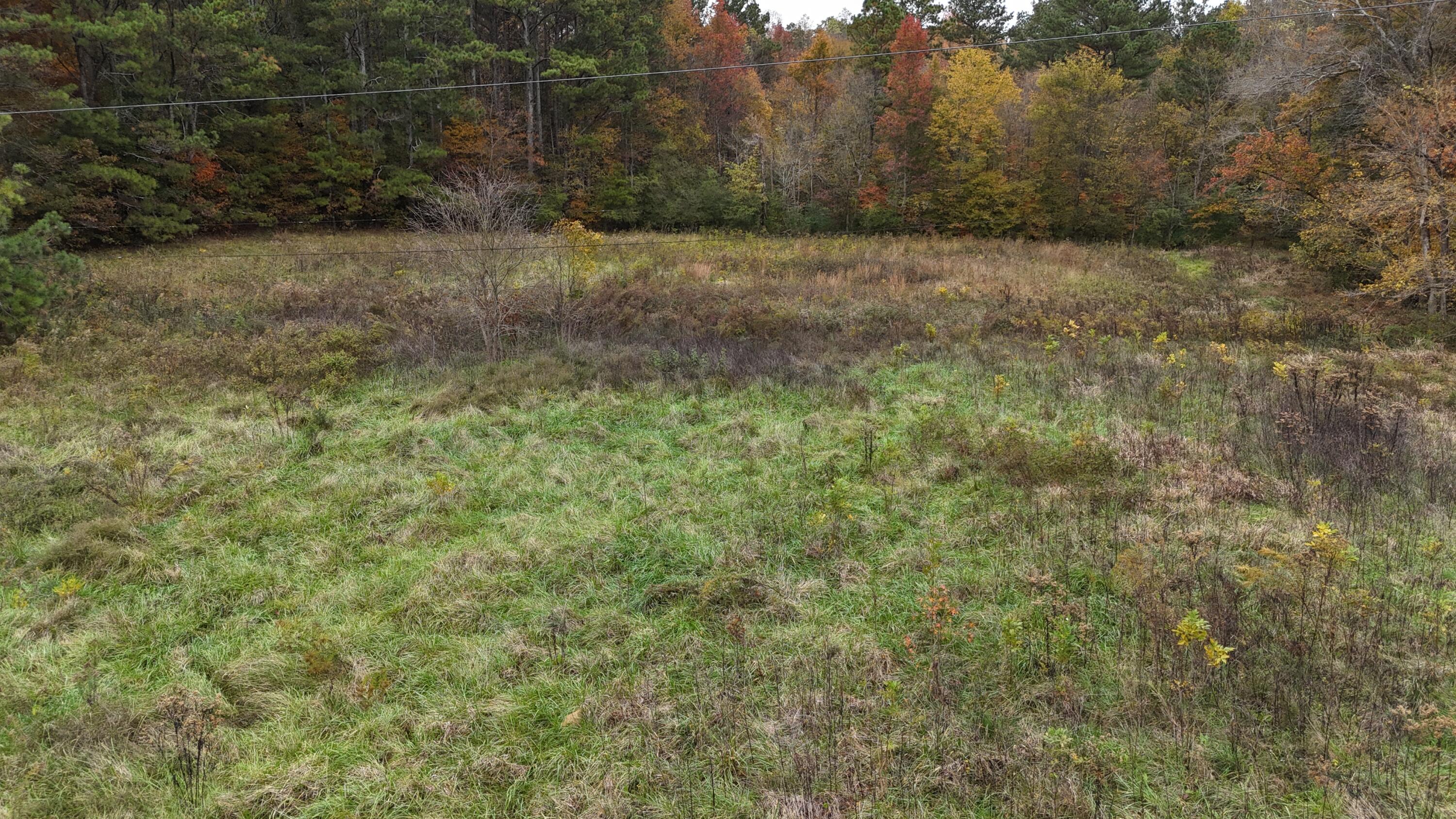 Bates Pike, Old Fort, Tennessee image 13