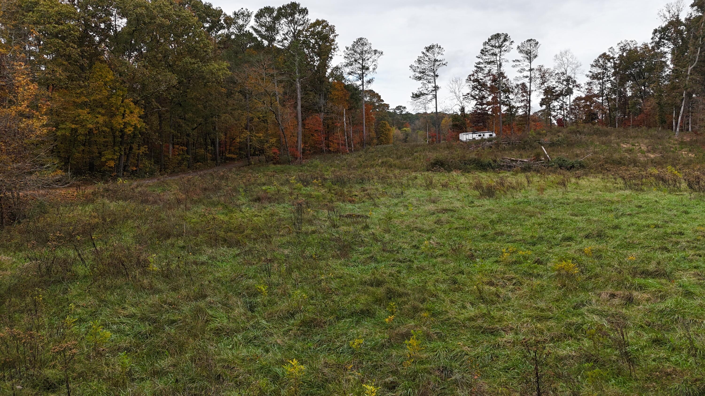 Bates Pike, Old Fort, Tennessee image 17
