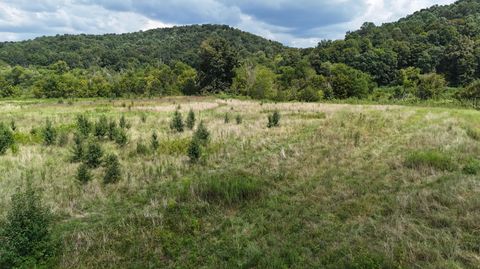 0 County Road 60 Riceville TN 37370