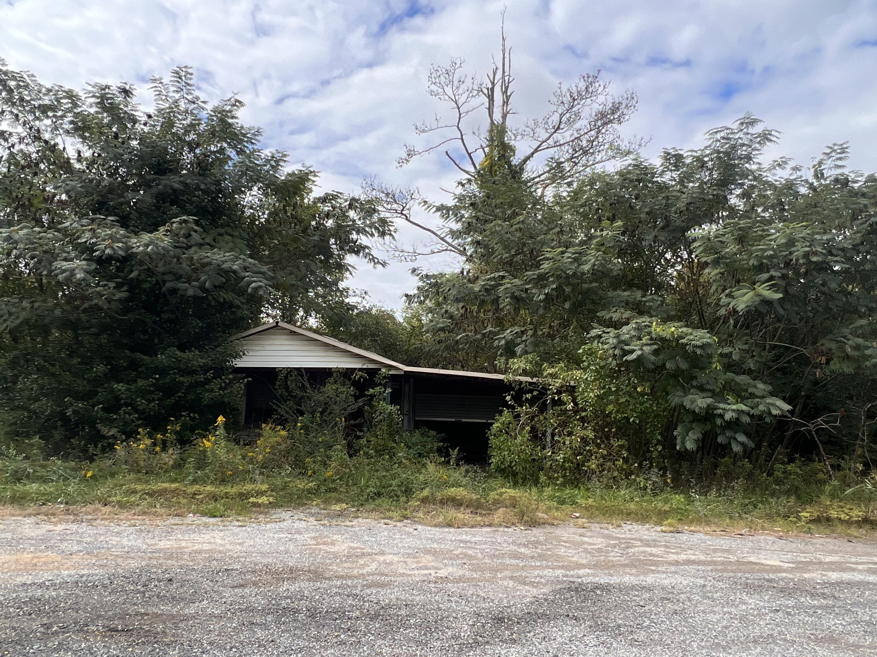 Alabama State Route 40, Valley Head, Alabama image 4
